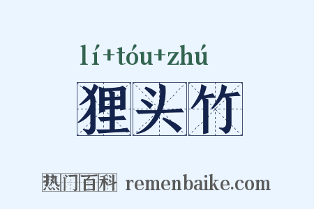 狸头竹是什么意思的图片